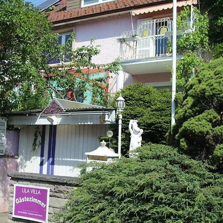 Lila Villa Schwenningen Филлинген-Швеннинген Экстерьер фото